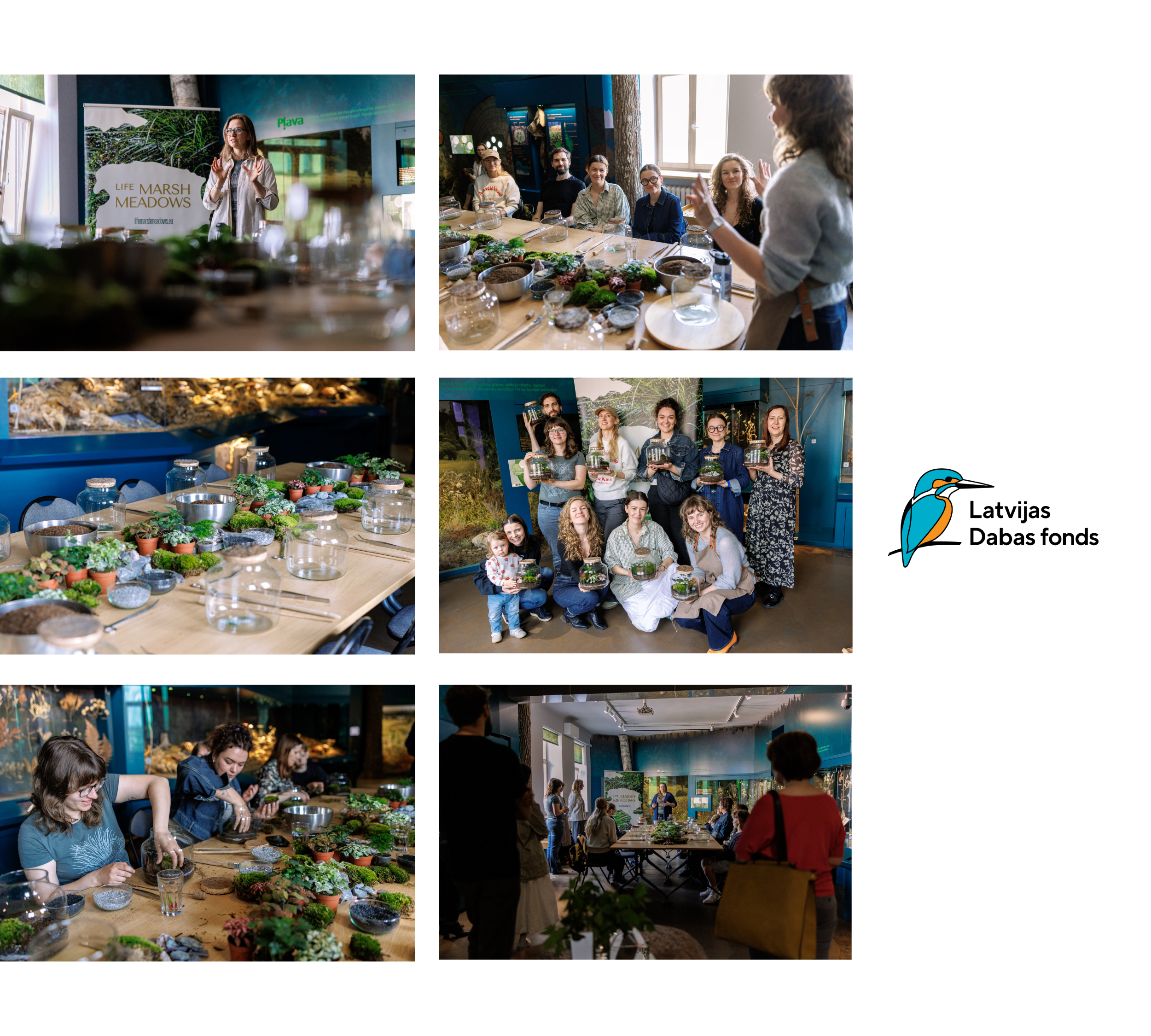 Latvijas Dabas fonda kampaņa “Maini pasauli – radi pasauli. Izveido savu mitrzemi!”